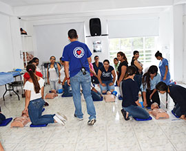 RCP Básico