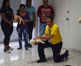 RCP Básico