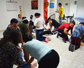 RCP Básico