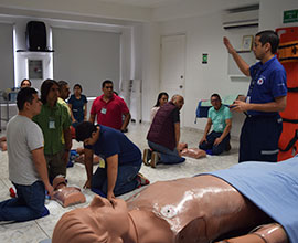 RCP Básico y avanzado