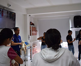 RCP BásicO