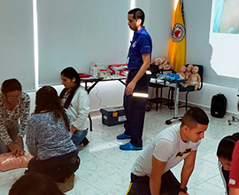 RCP BÁSICO