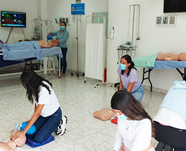 RCP Básico
