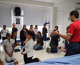 RCP BÁSICO